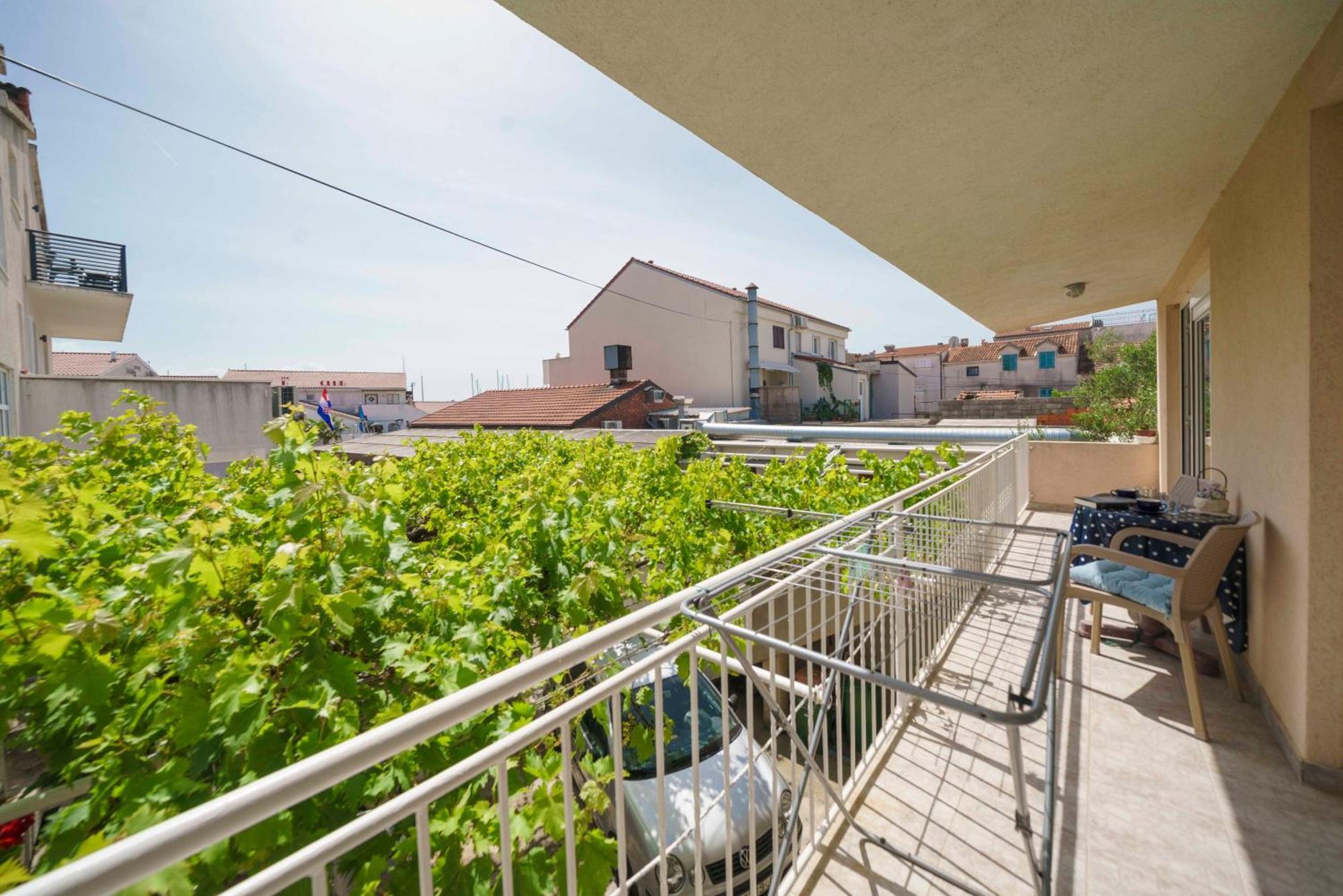 Apartments Vitis - City Centre - Free Parking Vodice Esterno foto
